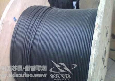 桂林市12芯GYXTW中心束管式光缆制作 欧孚GYXTW光缆特点